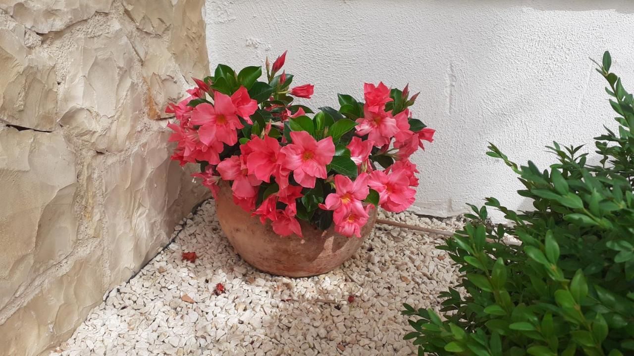Apartman Nina Водице Екстер'єр фото